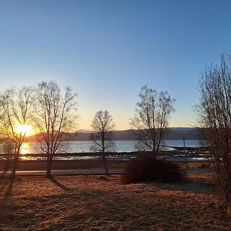 Peaceful Farmroom With Free Sauna, Wifi, Parking And Northern Light Apartment