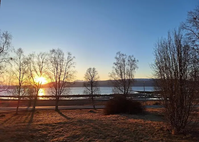 Peaceful Farmroom With Free Sauna, Wifi, Parking And Northern Light Apartment