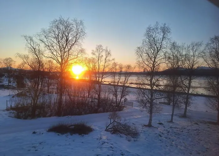 Peaceful Farmroom With Free Sauna, Wifi, Parking And Northern Light Апартаменты Нарвик