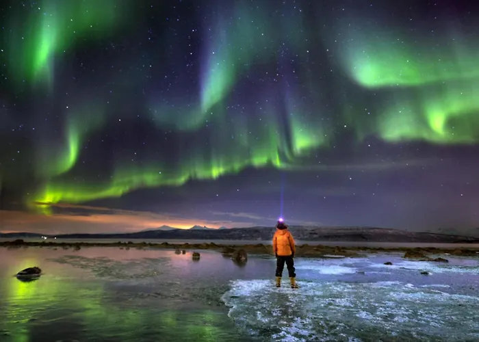 Lägenhet Peaceful Farmroom With Free Sauna, Wifi, Parking And Northern Light Narvik
